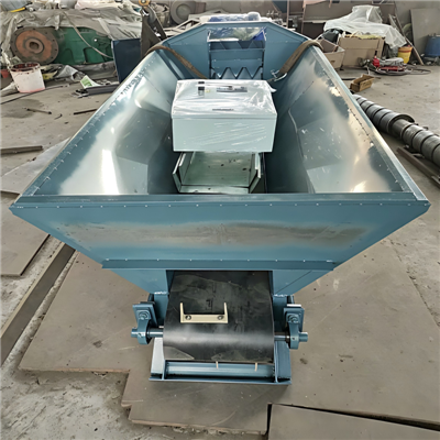 Plastic Belt Conveyor